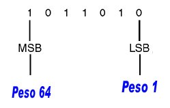 Ibytes Elet Dig Num Bin 0