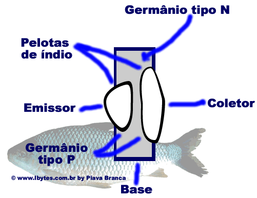 Pelotas Transistores