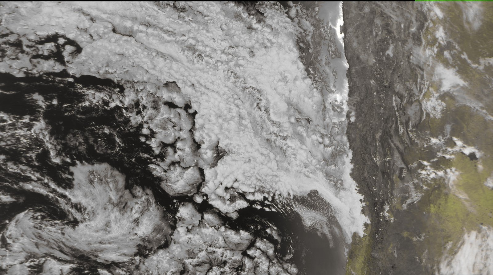 2018 1 23 14 16 25 125 .vegetation