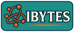 Ibytes Web Site
